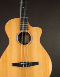 Taylor 212CE-N Nylon Plus