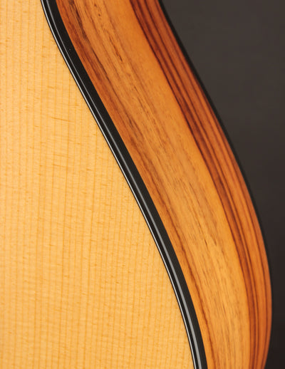 Taylor 212CE-N Nylon Plus