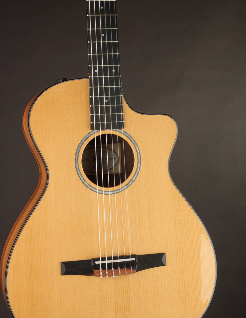 Taylor 212CE-N Nylon Plus