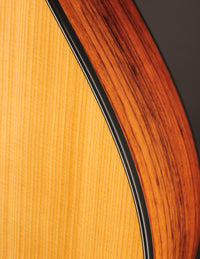Taylor 212CE-N Nylon Plus