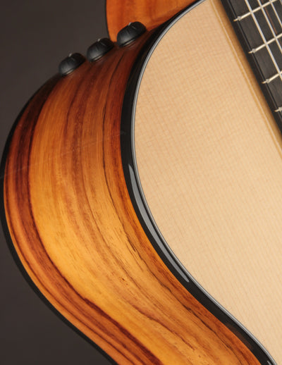 Taylor 212CE-N Nylon Plus