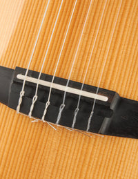 Taylor 212CE-N Nylon Plus
