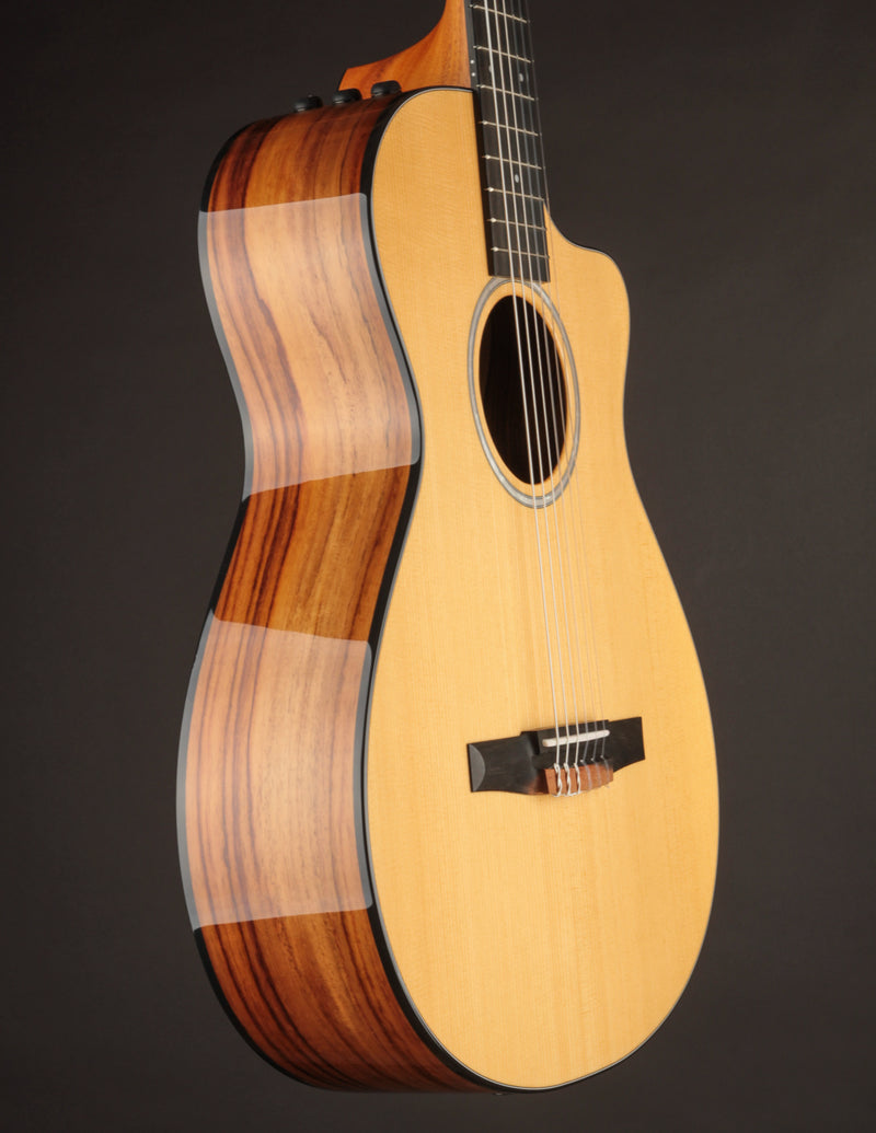 Taylor 212CE-N Nylon Plus