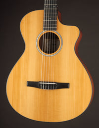Taylor 212CE-N Nylon Plus