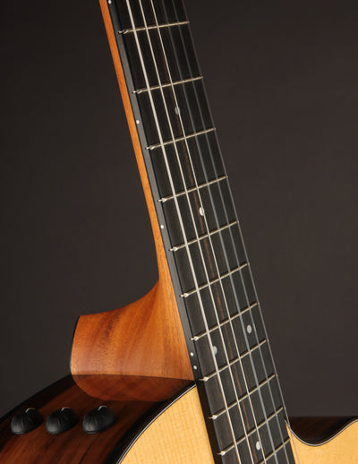 Taylor 212CE-N Nylon Plus