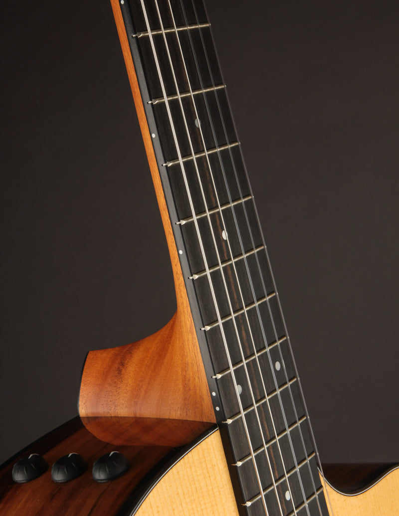 Taylor 212CE-N Nylon Plus