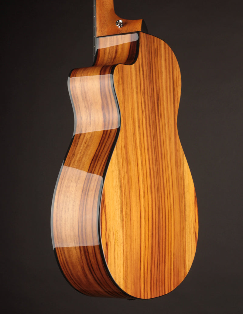 Taylor 212CE-N Nylon Plus