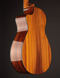 Taylor 212CE-N Nylon Plus