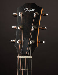 Taylor 212CE Plus