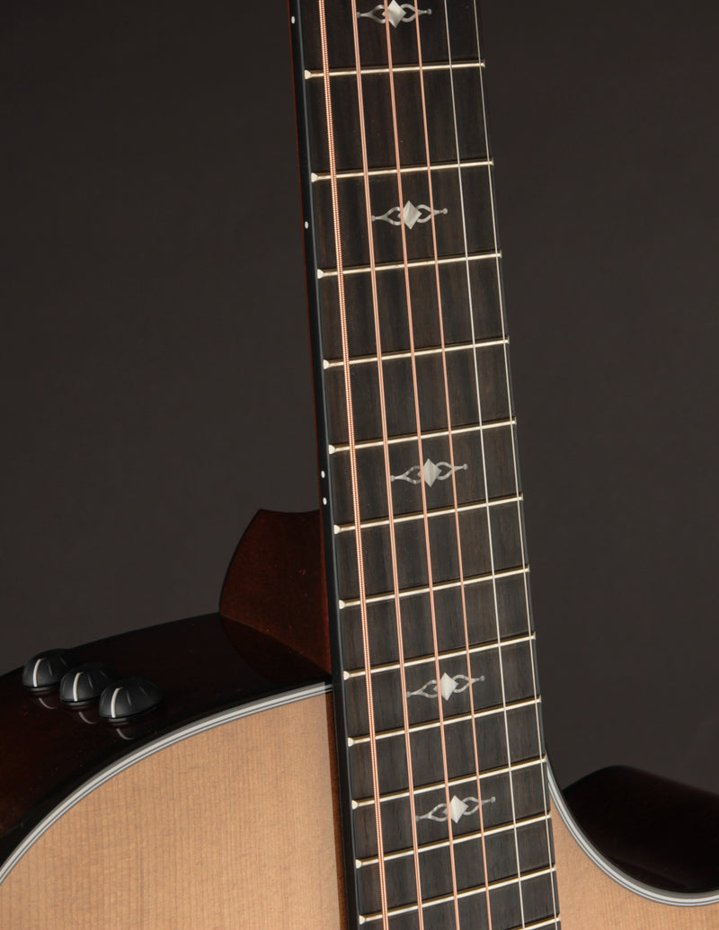 Taylor 312CE LTD 50th Anniversary