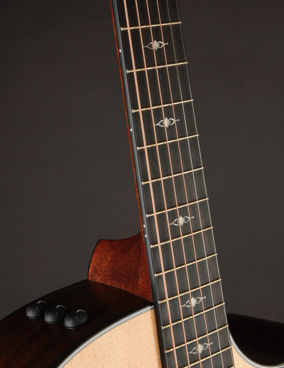 Taylor 314CE