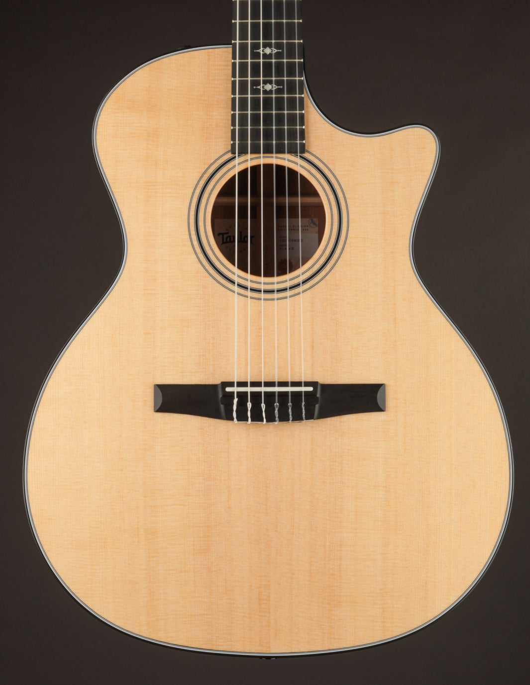 Taylor 314CE Nylon