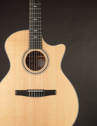 Taylor 314CE Nylon