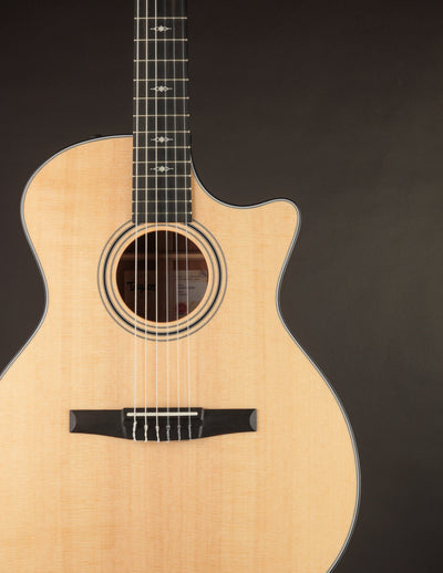 Taylor 314CE Nylon