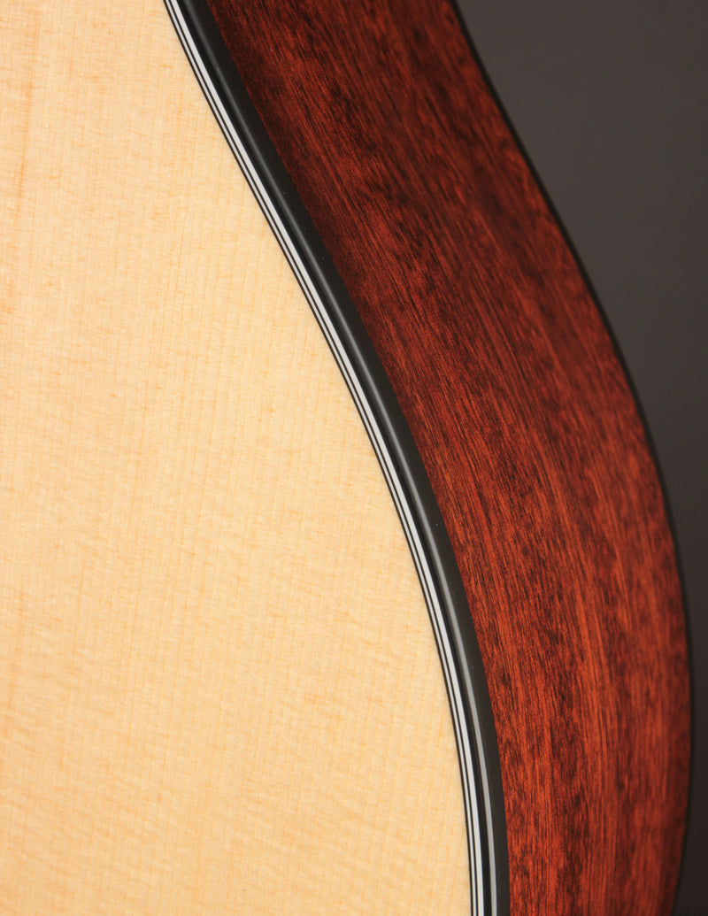 Taylor 314CE Nylon