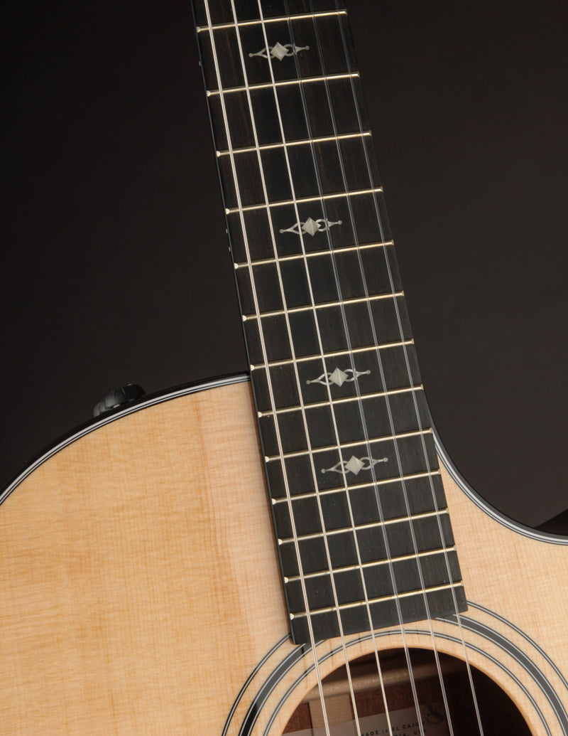 Taylor 314CE Nylon