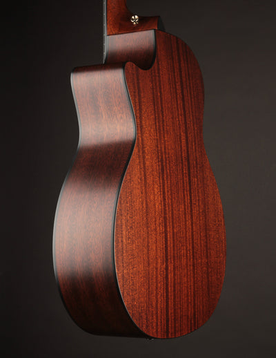 Taylor 314CE Nylon