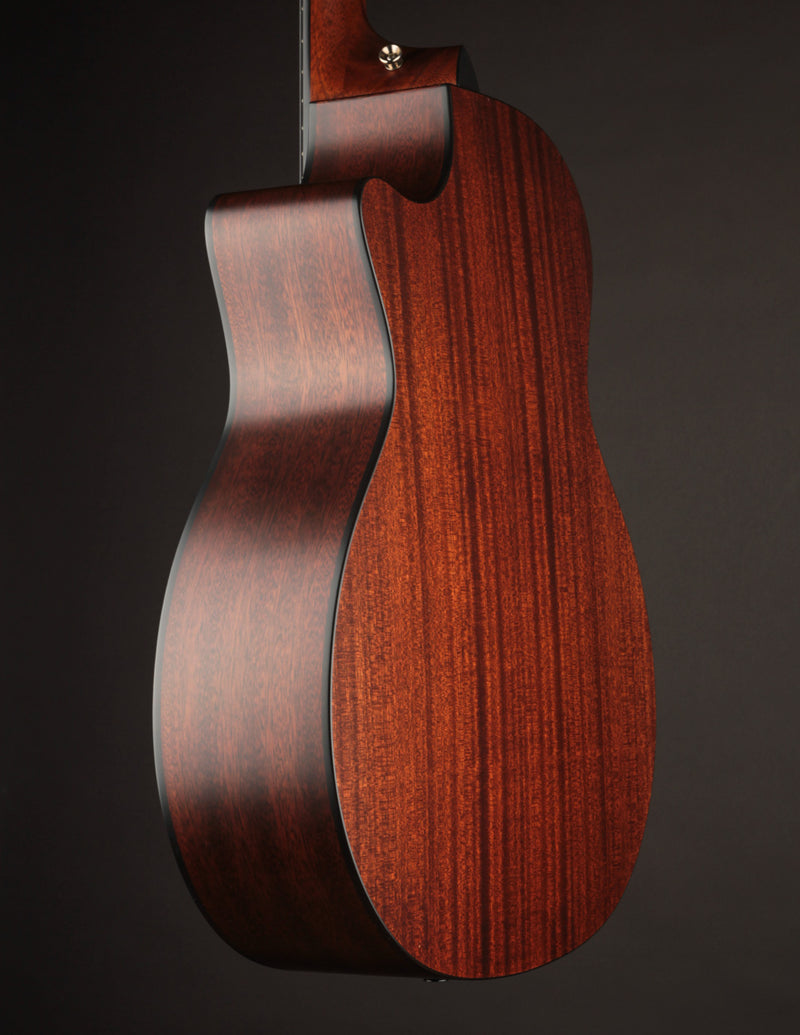 Taylor 314CE Nylon