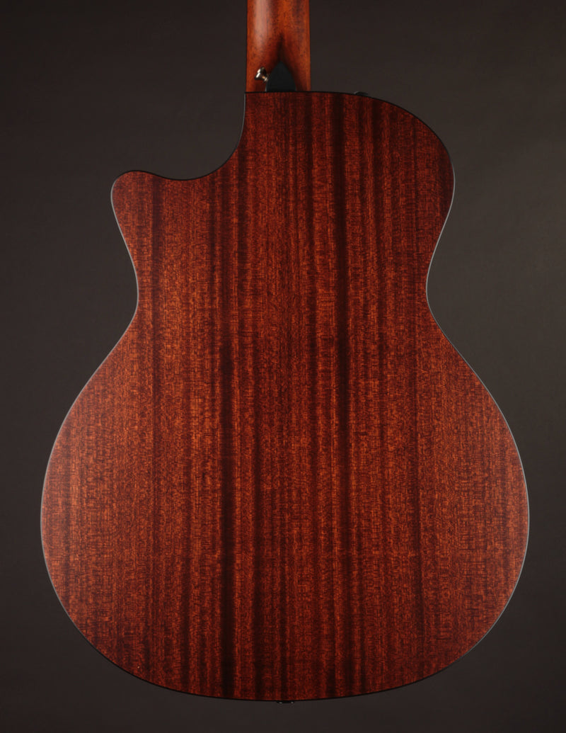 Taylor 314CE Nylon
