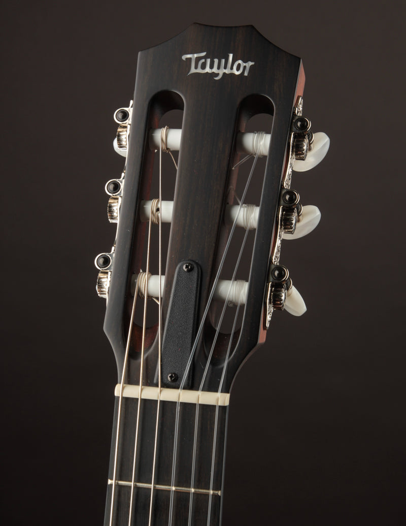 Taylor 314CE Nylon