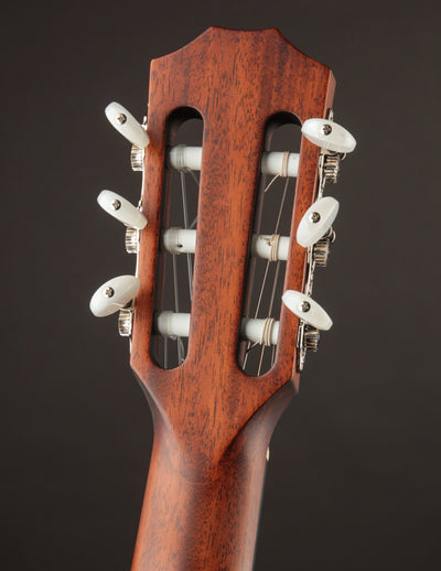 Taylor 314CE Nylon