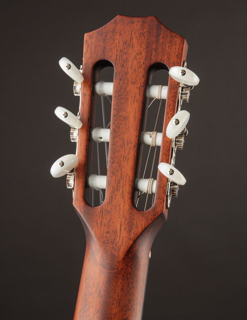 Taylor 314CE Nylon