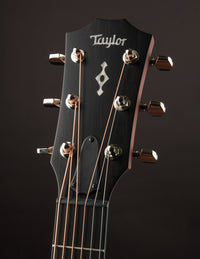 Headstock with "Taylor" logo