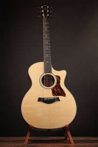 Taylor acoustic guitar on a dark background 