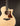 Taylor acoustic guitar on a dark background