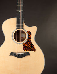 Taylor acoustic guitar on a dark background