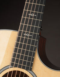 Close up of neck on a Taylor acoustic guitar on a dark background