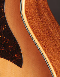 Taylor 314CE Studio Shaded Edgeburst