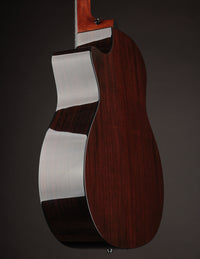 Taylor 454ce Next Generation 12-string
