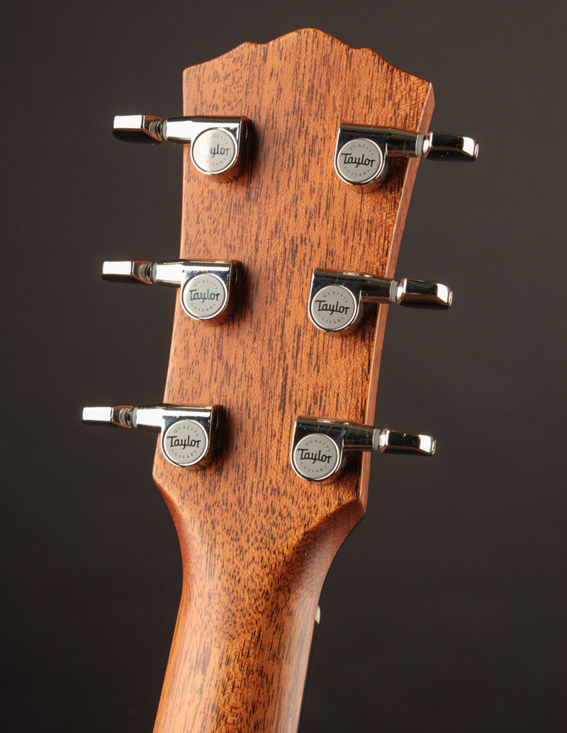 Taylor 514E Gold Label Mahogany Natural