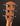 Back of the Peghead of a Taylor 712e Gold Label.