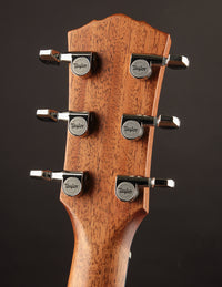 Back of the Peghead of a Taylor 712e Gold Label.