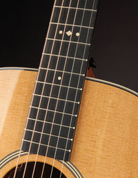 Close up of the Neck of a Taylor 712e Gold Label
