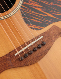 Taylor Gold Label 717e Sunburst