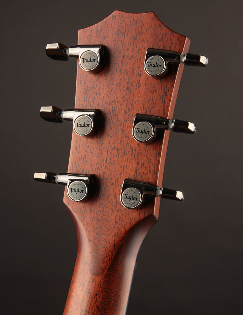 Taylor 814CE w/ Bevel