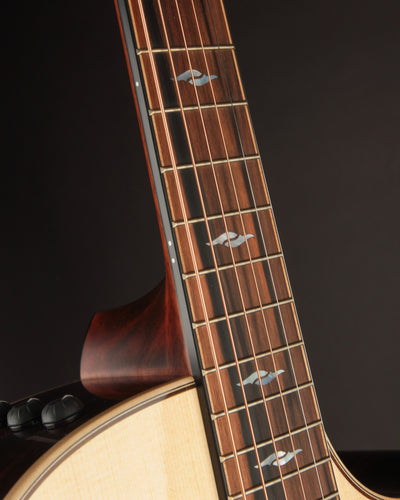 Taylor 814CE w/ Bevel