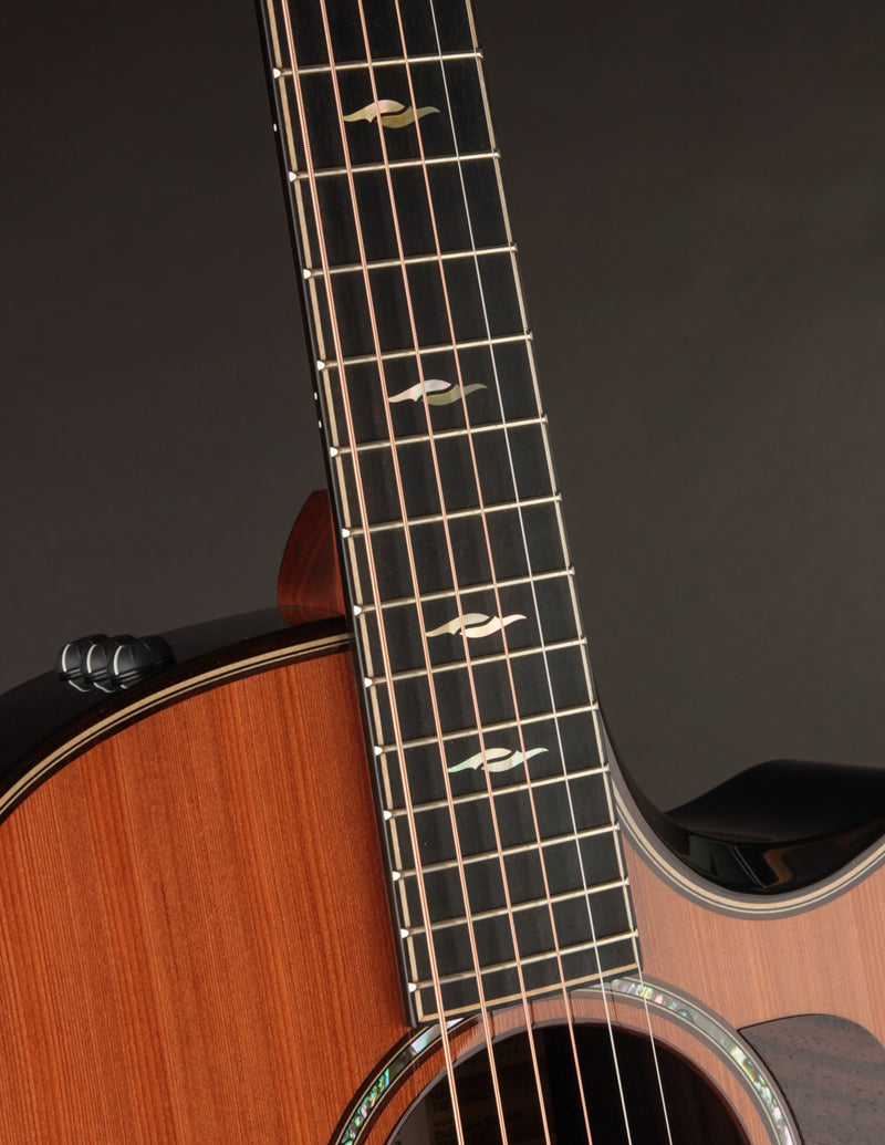 Taylor 814CE LTD 50th Anniversary Builder's Edition The Music Emporium