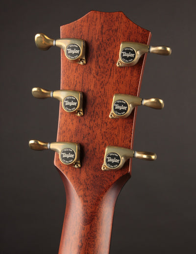 Taylor 814CE Rosewood & Adirondack Builder's Edition