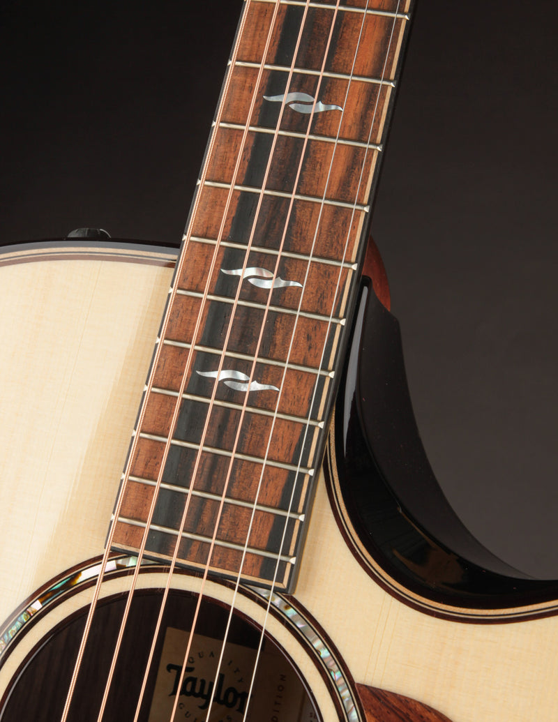 Taylor 814CE Rosewood & Adirondack Builder&