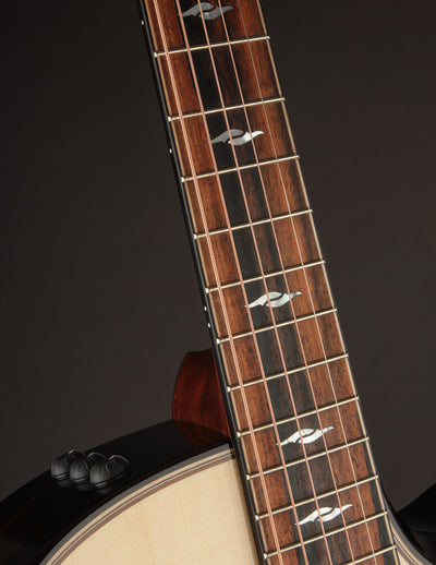 Taylor 814CE Rosewood & Adirondack Builder's Edition