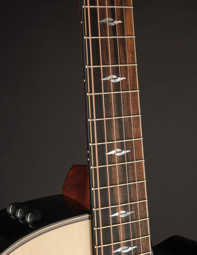 Taylor 814CE Rosewood & Adirondack Builder's Edition