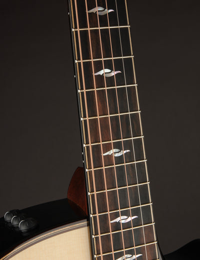 Taylor 814CE Rosewood & Adirondack Builder's Edition