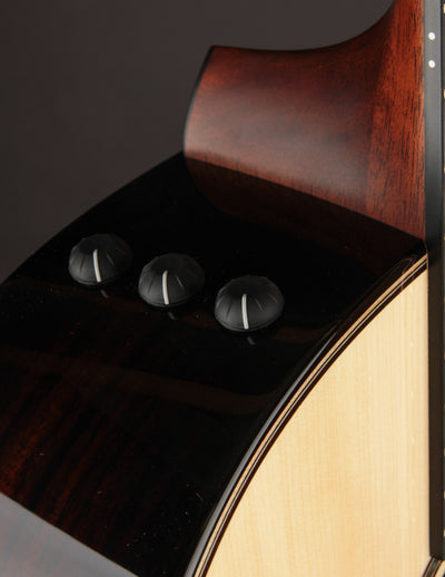 Taylor 814CE Rosewood & Adirondack Builder's Edition