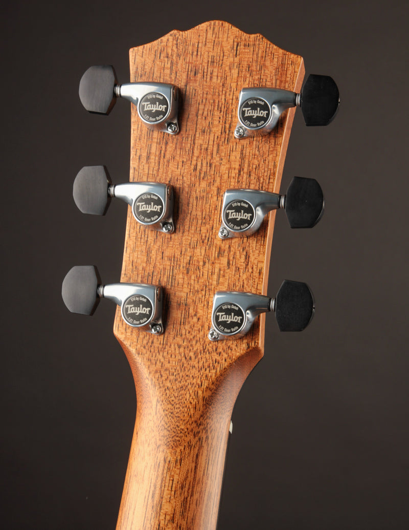 Taylor Gold Label 814E Natural Top Honduran Rosewood