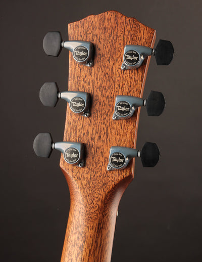Taylor Gold Label 814E Natural Top Honduran Rosewood