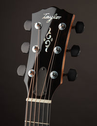 Taylor Gold Label 814E Natural Top Honduran Rosewood